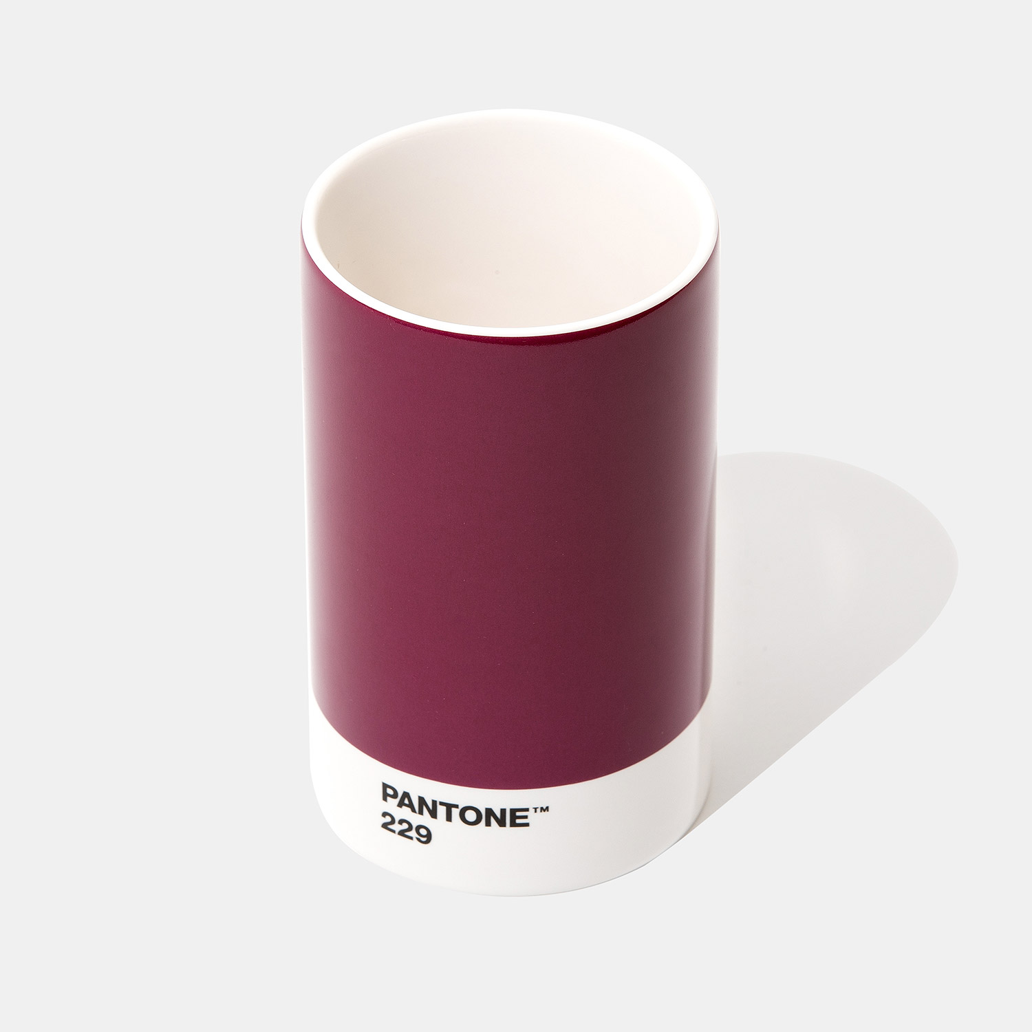 Pantone Pencil Cup
